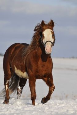 88639b04c5a5499f56aa069044095912