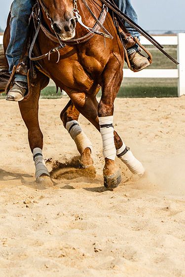 85cafa492fd7cc9f448509e3b2312a81