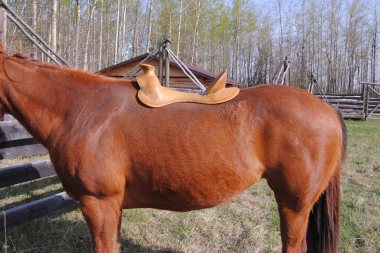 Position_1b_2_inches_back