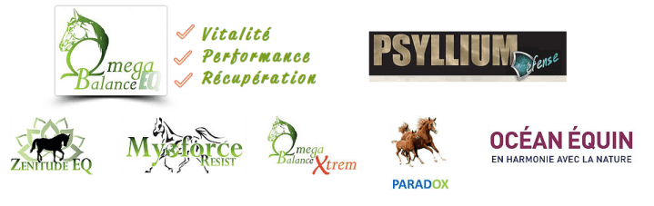 Screen Shot 2018-01-31 at 8.47.42 PM