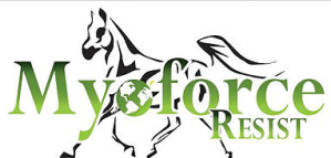 Screen Shot 2018-02-02 at 12.02.35 PM