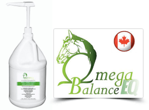 Screen Shot 2018-02-02 at 12.03.32 PM