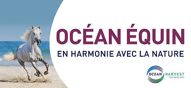 Screen Shot 2018-02-02 at 4.57.28 PM.png