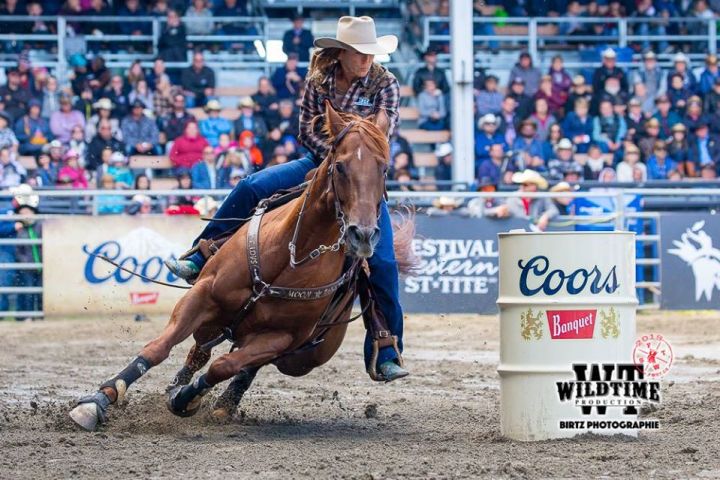 44023869_2248040352095537_6692960396212436992_o